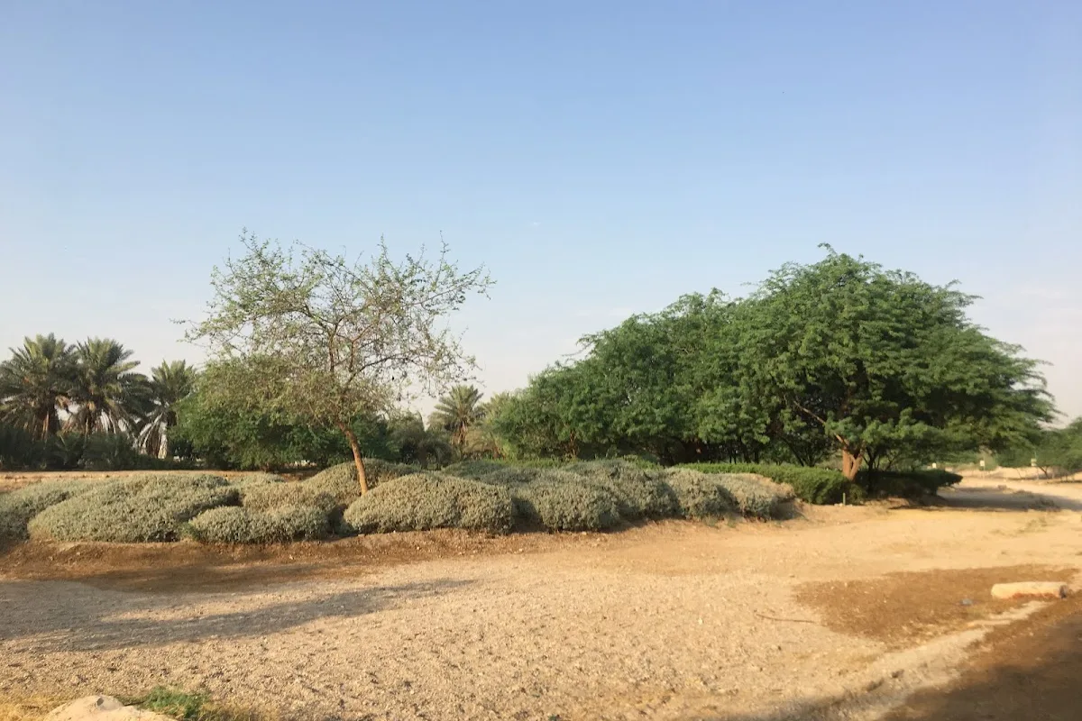 Al Muzahimiyah skyline