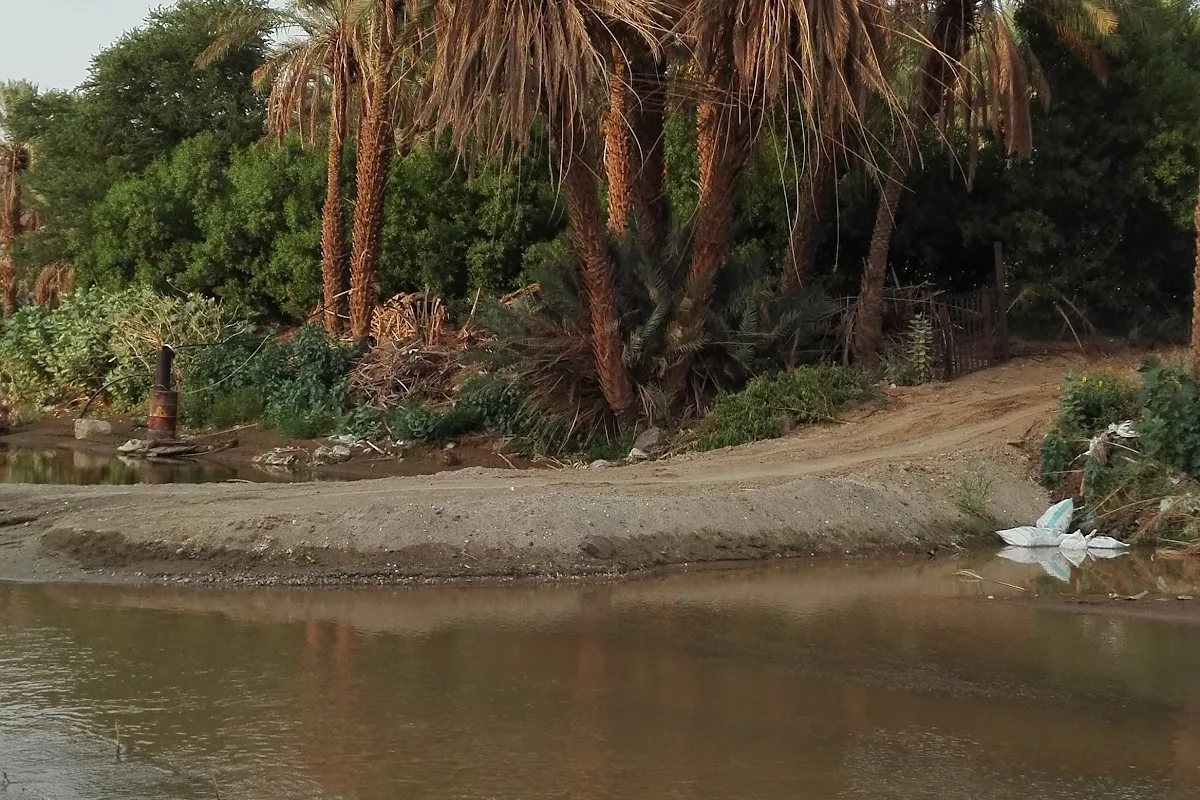 Quwayiyah skyline